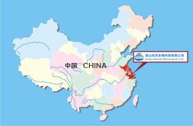 公司在中國的位置